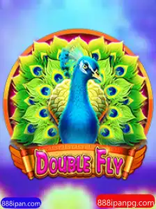 Desvendando o Fascinante Mundo de DoubleFly